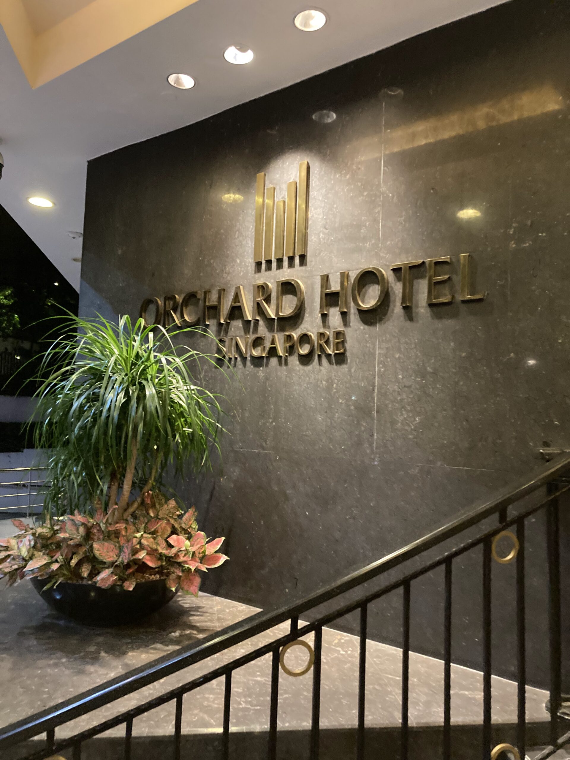 シンガポール オーチャードホテルに泊まってみました ひやまんブログ